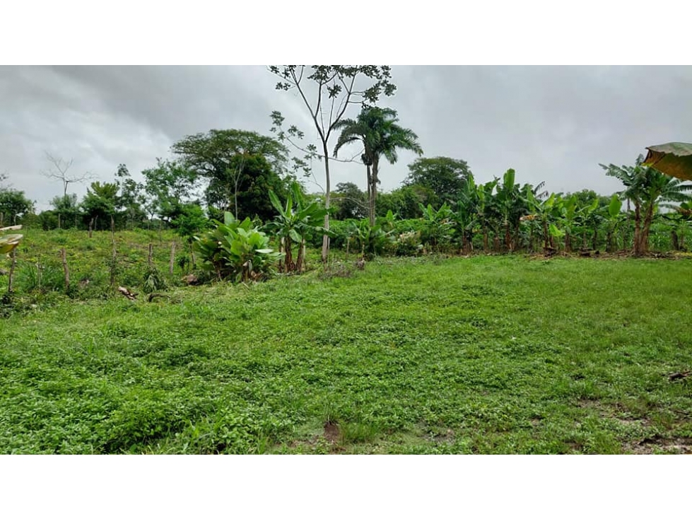 VENDO TERRENO 6220 M2 EN PRODUCCION BOQUERON - 3