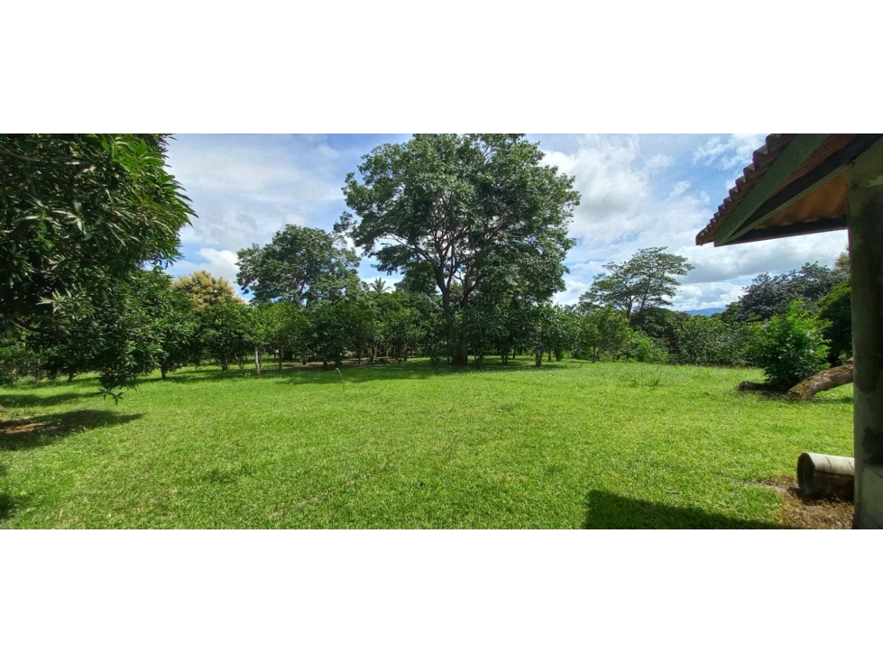 VENTA DE TERRENO CON 6,000 M2 EN COCLE - AGUAS BLANCAS - 4