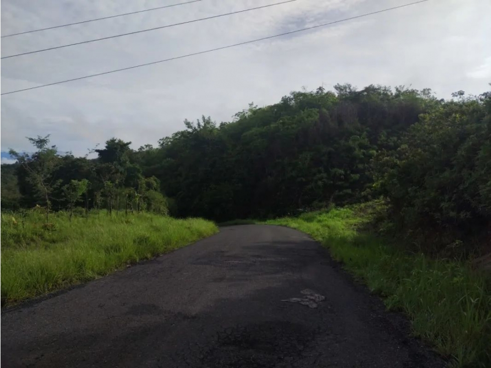 VENTA DE TERRENO EN VERAGUAS PARA GANADERIA - 3