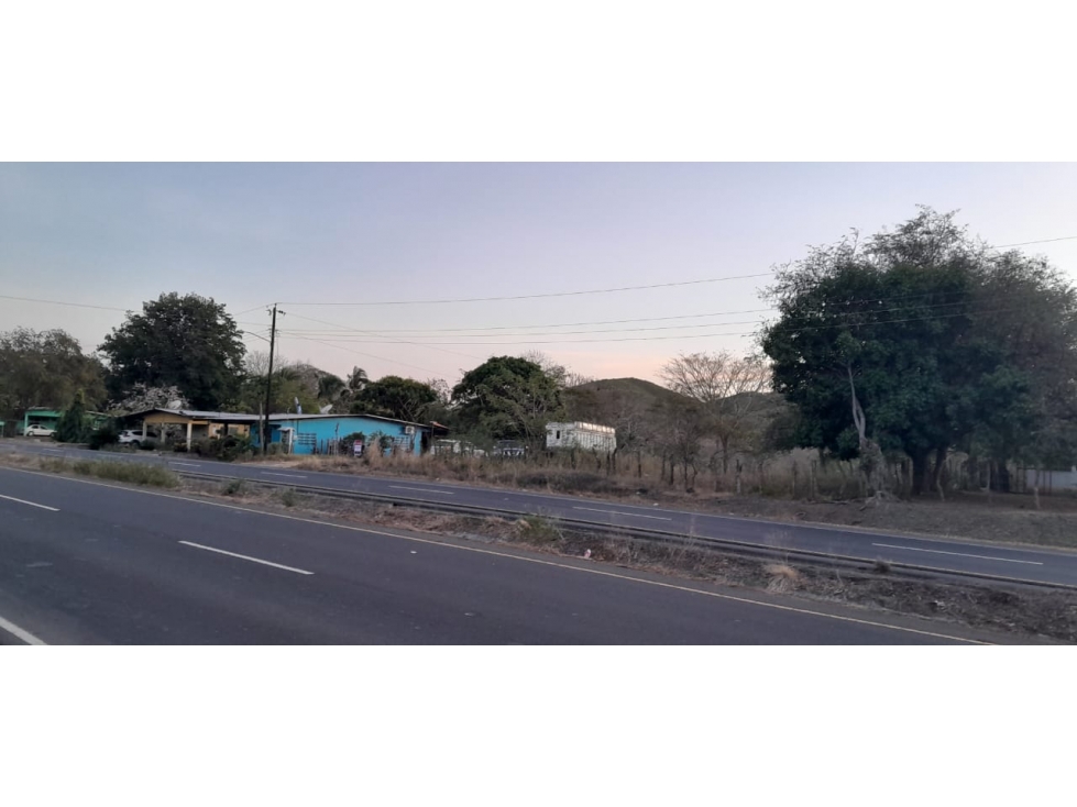 VENTA DE TERRENO EN HERRERA - 19 HEC - 4