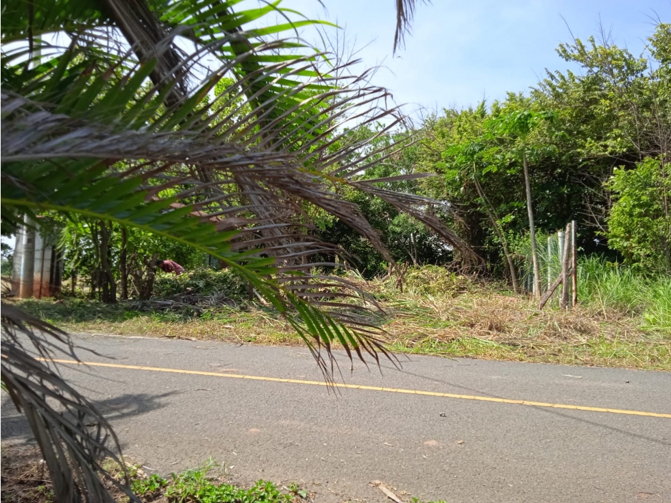 TERRENO EN PLAYA EL UVERITO, OPORTUNIDAD ÚNICA - 4