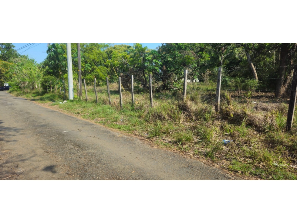LOTE DE 1100 METROS EN ALGARROBO CHIRIQUI - 3