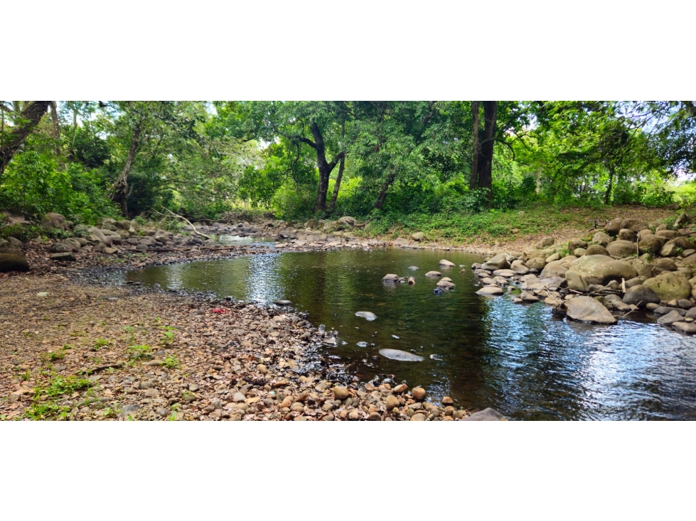 VENDO FINCA DE 2 HAS EN HIGO - 3