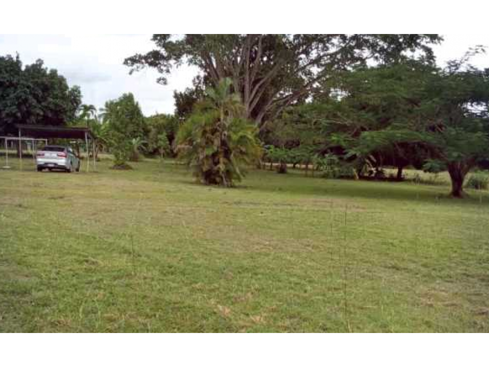 VENTA DE FINCA EN RÍO HATO, ANTÓN ÚNICA OPORTUNIDAD - 3