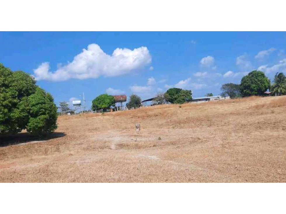 VENTA DE LOTE EN CORONADO LAS LAJAS / CHAME - TERRENO DE 14,446 — foto 3
