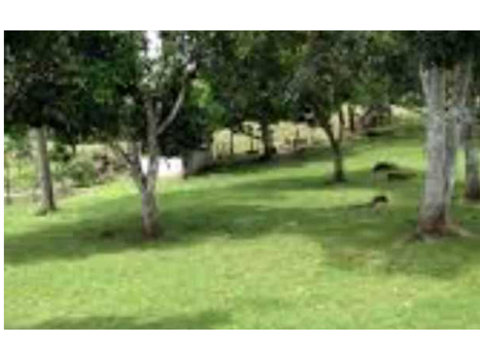 VENTA DE FINCA EN SANTA RITA, HERMOSA Y VISTAS INIGUALABLES, REMATE - 3