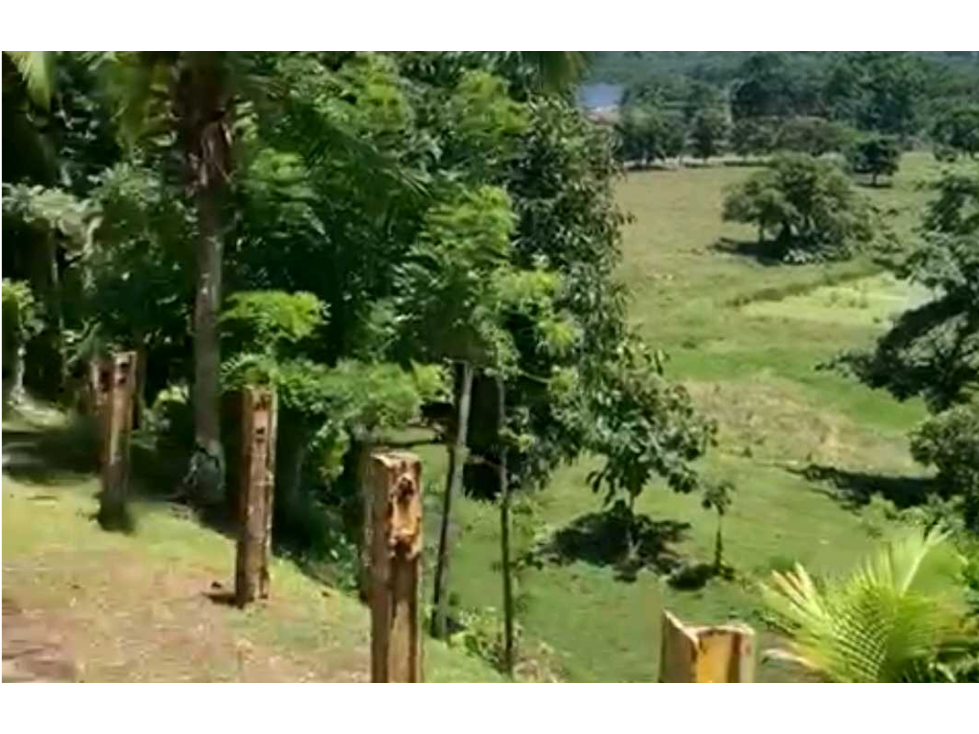 VENTA DE FINCA GANADERA EN COLÓN MARIA CHIQUITA, HERMOSA Y OPERATIVA - 3
