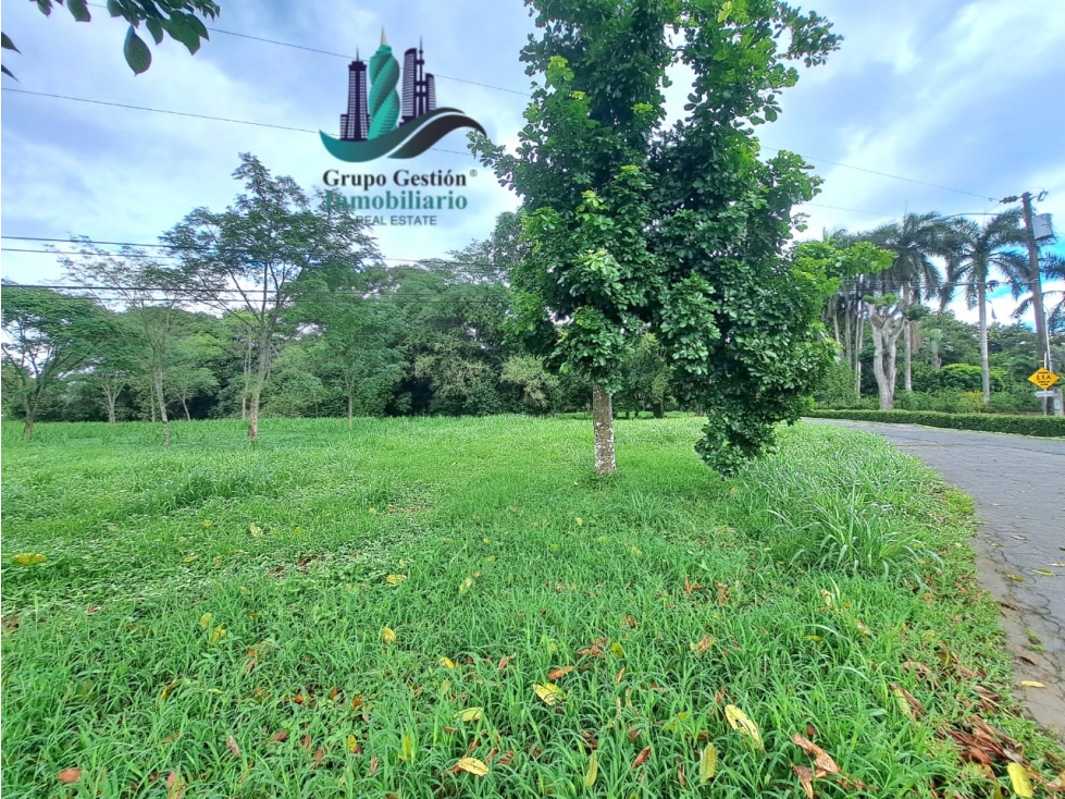 VENTA DE TERRENO DE 9,000 M2 DAVID - 3
