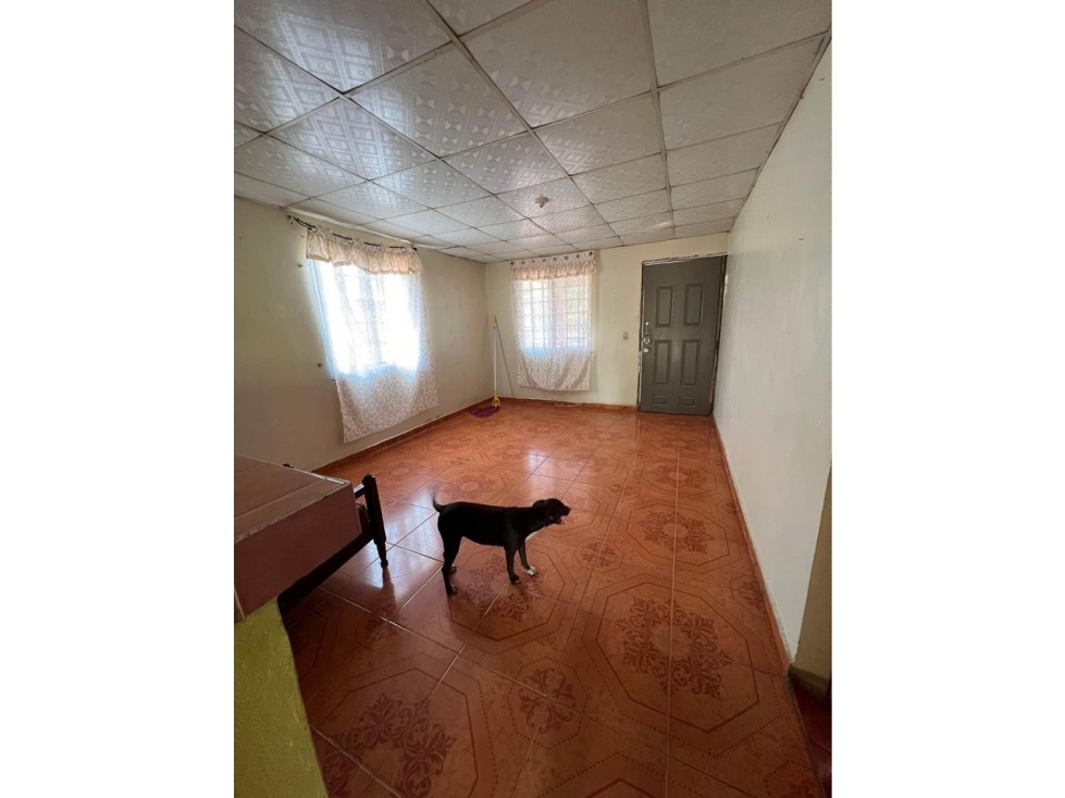 VENDO CASA DE DOS HABITACIONES EN DIVINO NIÑO — foto 3