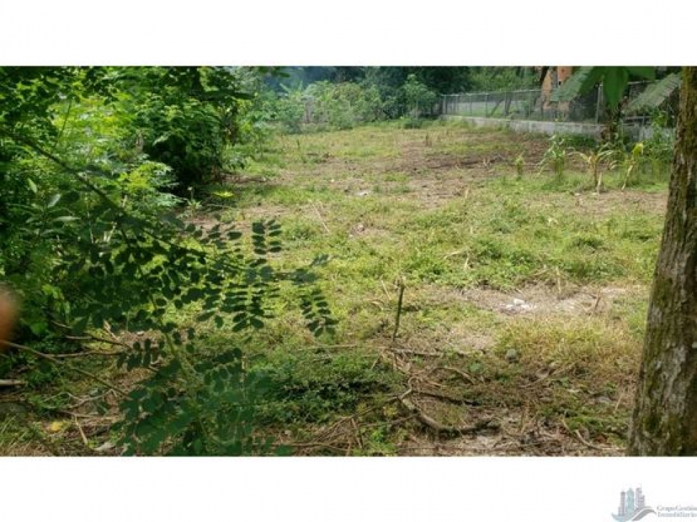 VENDO LOTE EN CHIRIQUI LA MATA DE BUGABA - 4