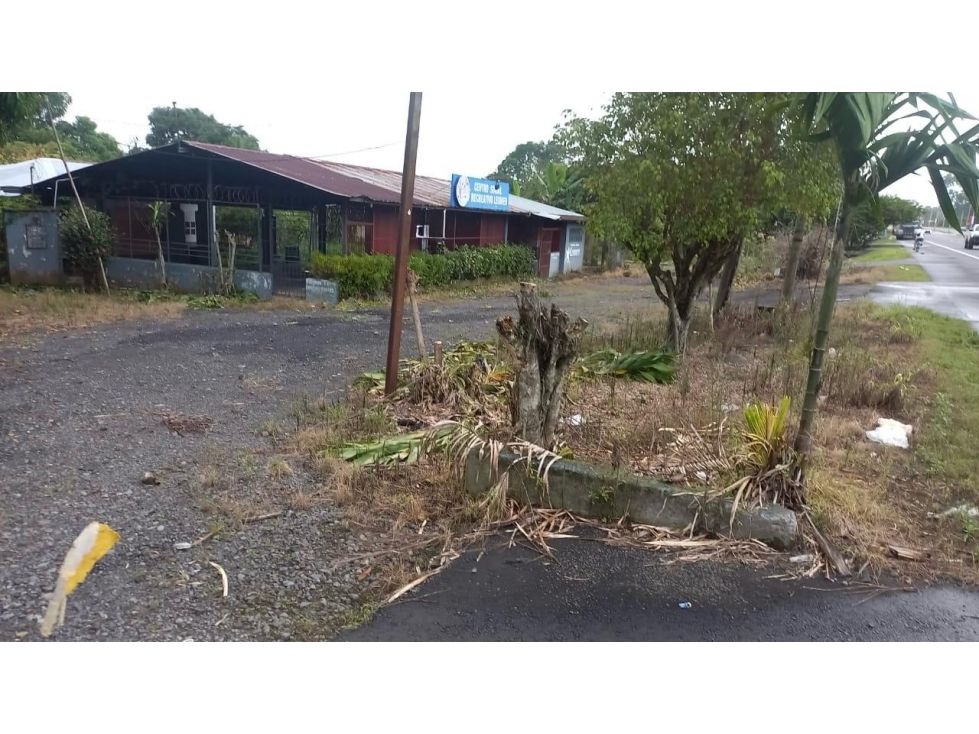 Alquilo local comercial cantina o restaurante Bugaba Chiriqui - 5