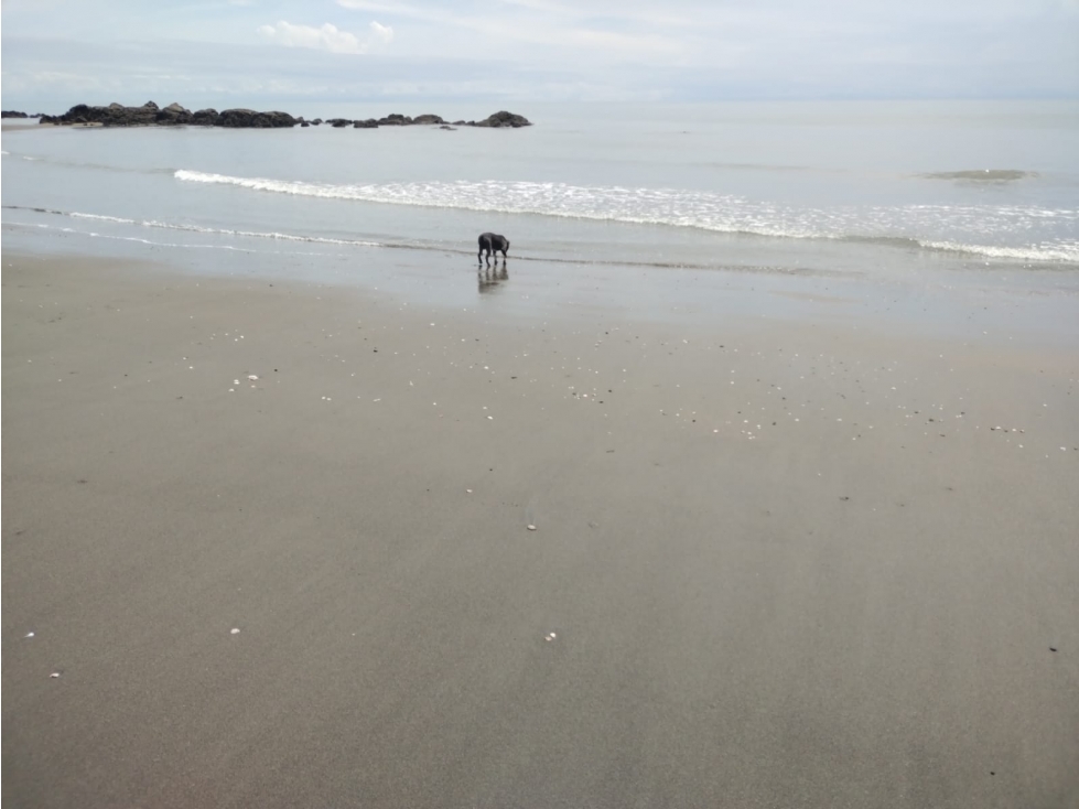 VENTA TERRENOS CERCA A LA PLAYA LAS COMADRES - TABLAS ABAJO - 5