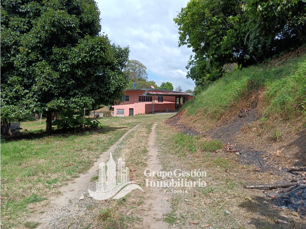 Vendo Lote en Interamericana en Santa Marta Bugaba Chiriqui - 3