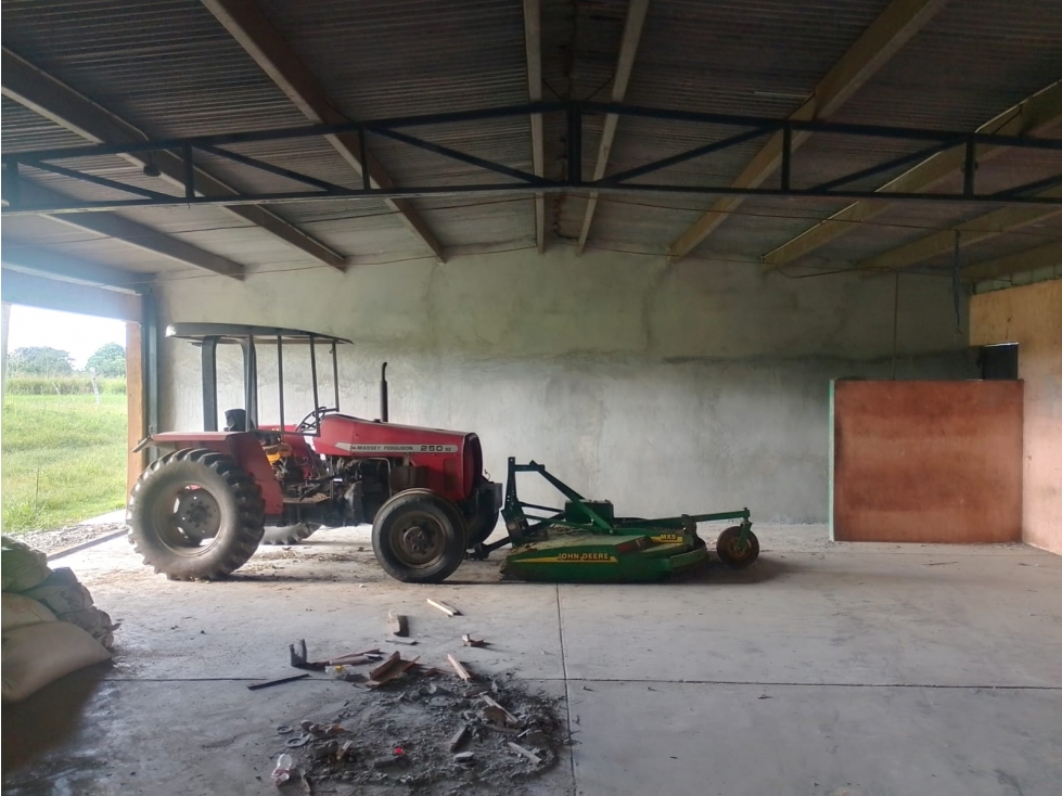 Alquiler de Bodega o Deposito San Pablo cerca de Bugaba y David - 4
