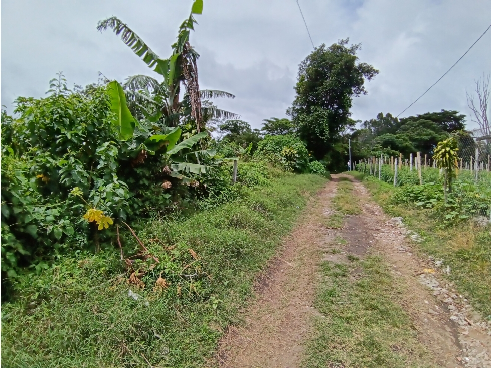 Vendo hermoso Lote con hermosa vista Palmira Boquete #5 — foto 3