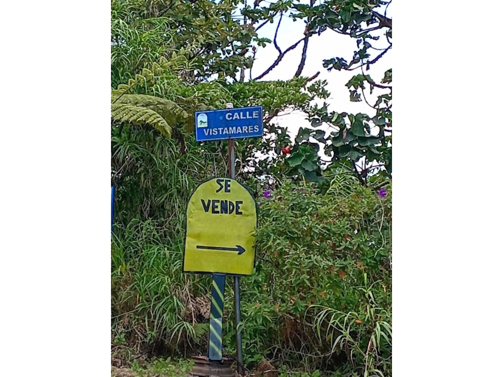 VENTA LOTE ALTOS DEL MARIA 3367 M2 ULTIMO PRECIO CV — foto 5