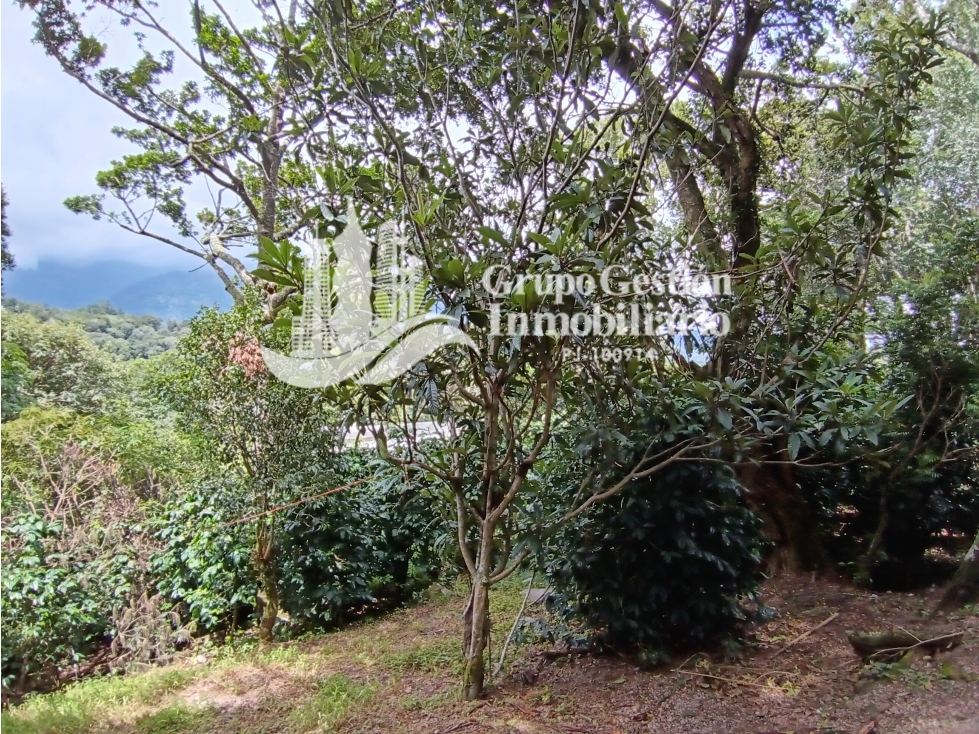 Finca en venta Palmira, Boquete #6 Hermosa vista - 4