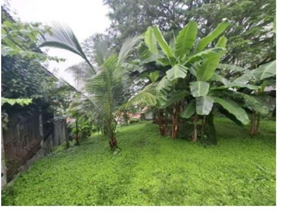 VENTA DE LOTE REBAJADO EN HATO PINTADO Z1R3 MYP — foto 4