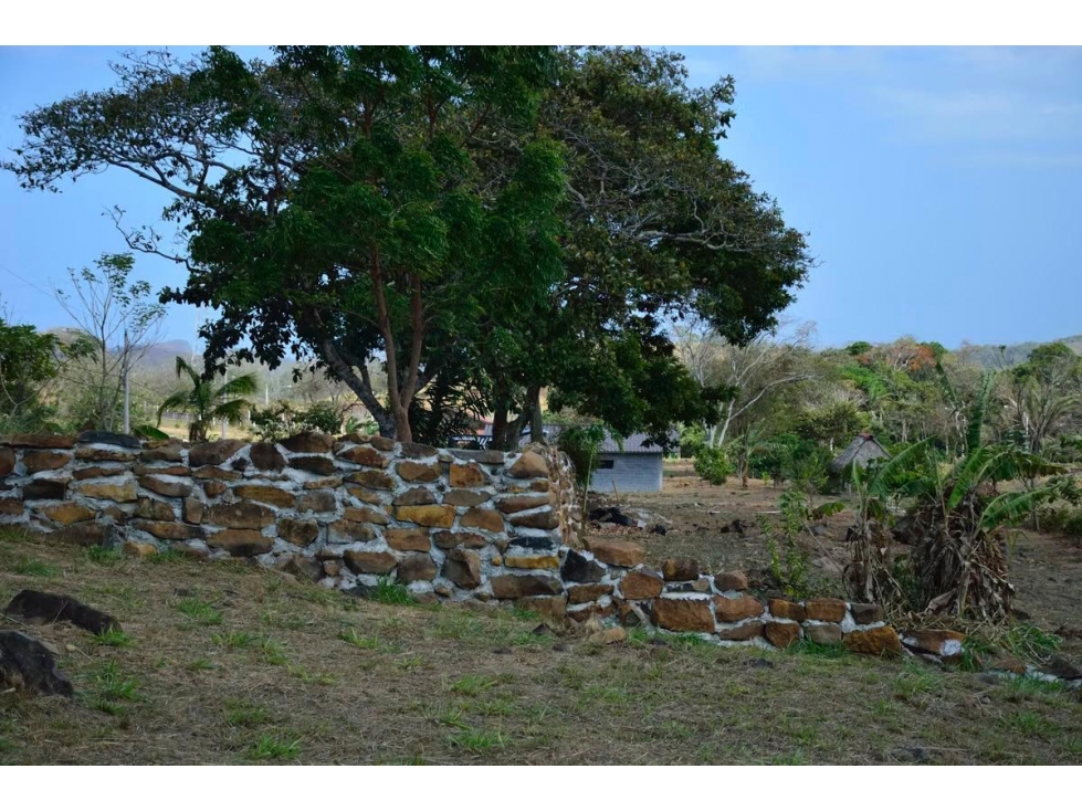 LOTE EN VENTA CON PISCINA , LAS PALMAS CAPIRA — foto 5