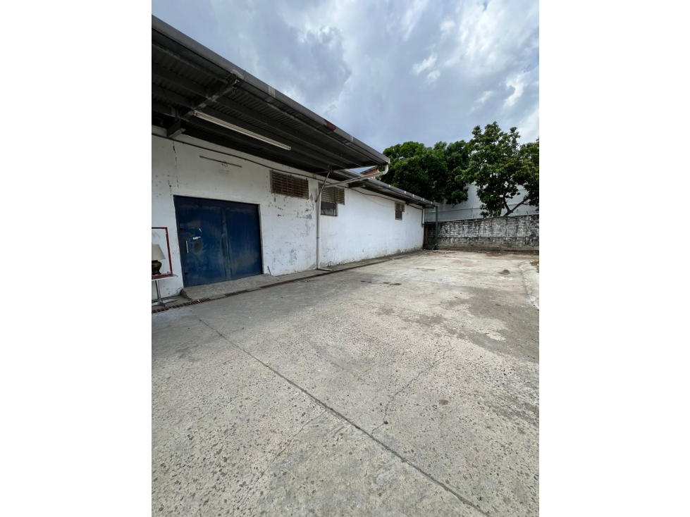 ALQUILER GALERA CARRASQUILLA 700M2 UBICACIÓN CENTRICA MLD - 4