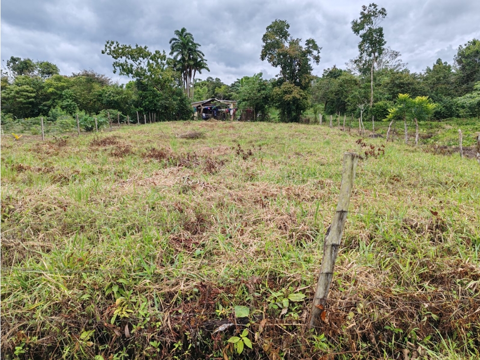 VENTA DE LOTE EN AGUACATE DISTRITO DE BOQUERON CLIMA AGRADABLE - 3