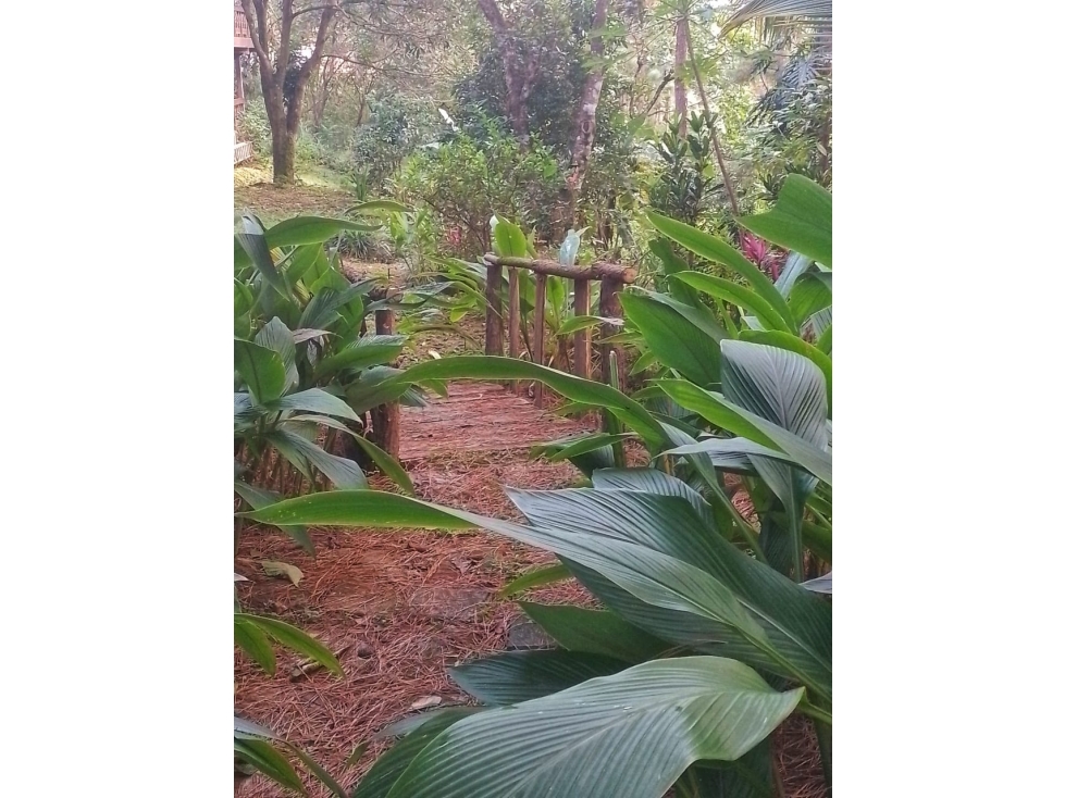 ALQUILER DE CASA EN LA MONTAÑA ALTOS DEL MARIA - 5