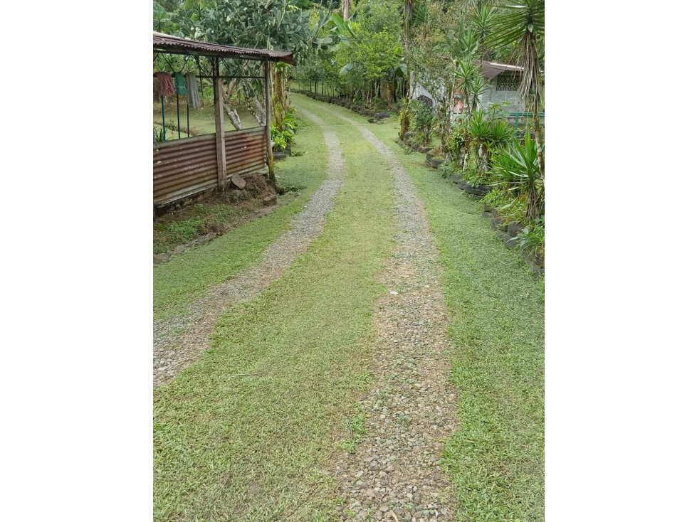 Vendo Linda finca en Cuesta de Piedra Volcan Chiriqui - 5