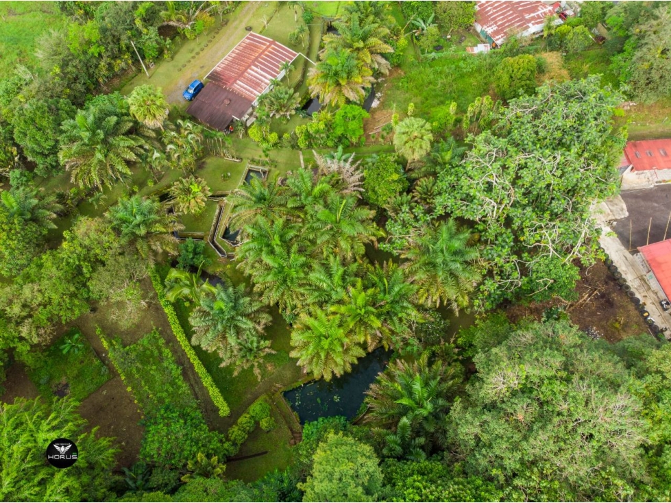 Vendo Linda finca en Cuesta de Piedra Volcan Chiriqui - 2