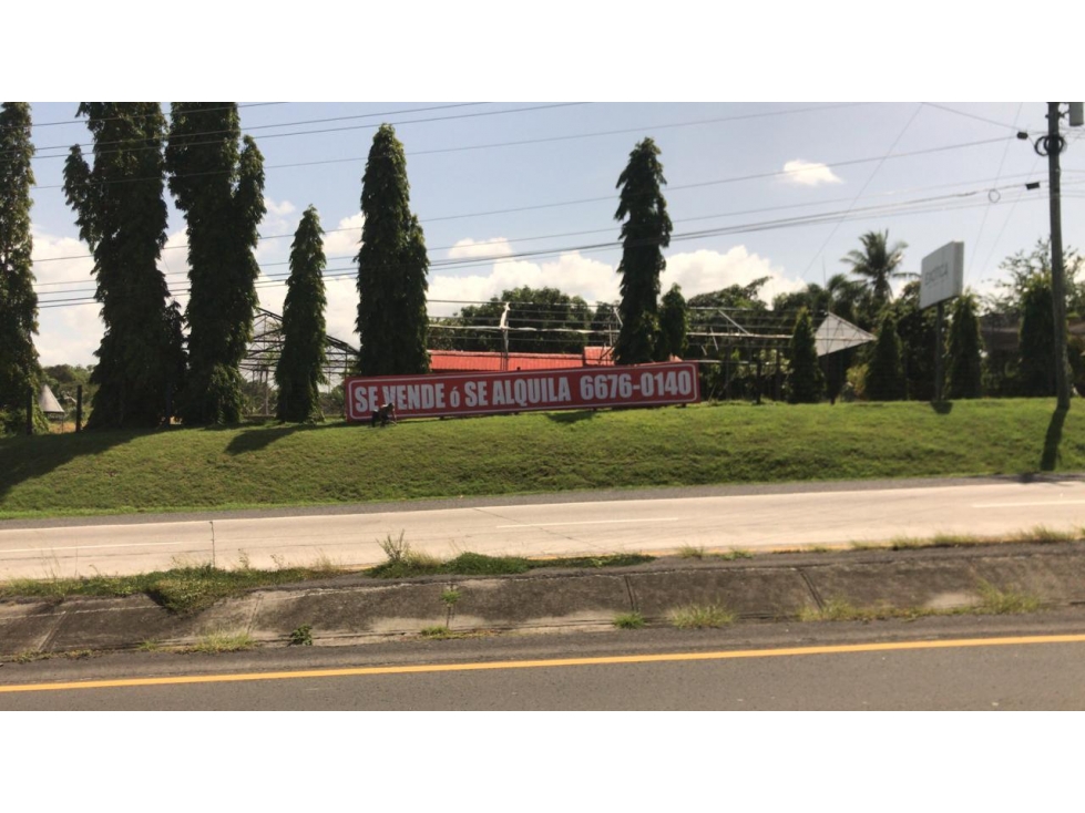 TERRENO COMERCIAL-RESIDENCIAL 4.5 HECTAREAS CARRETERA PANAMERICANA — foto 2