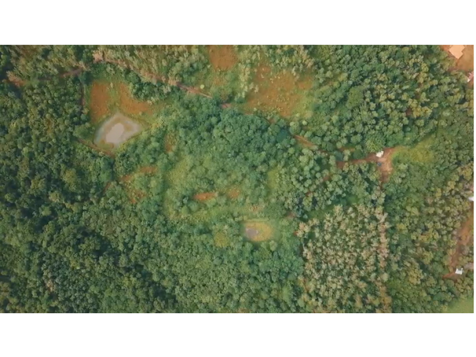FINCA DE 77 HECTAREAS EN PANAMA OESTE, LA MESA - 4