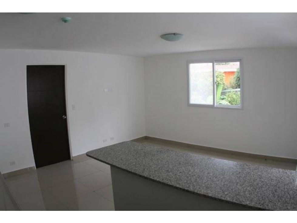 APARTAMENTO PARQUE LEFEVRE PASOS DE PARQUE OMAR — foto 4