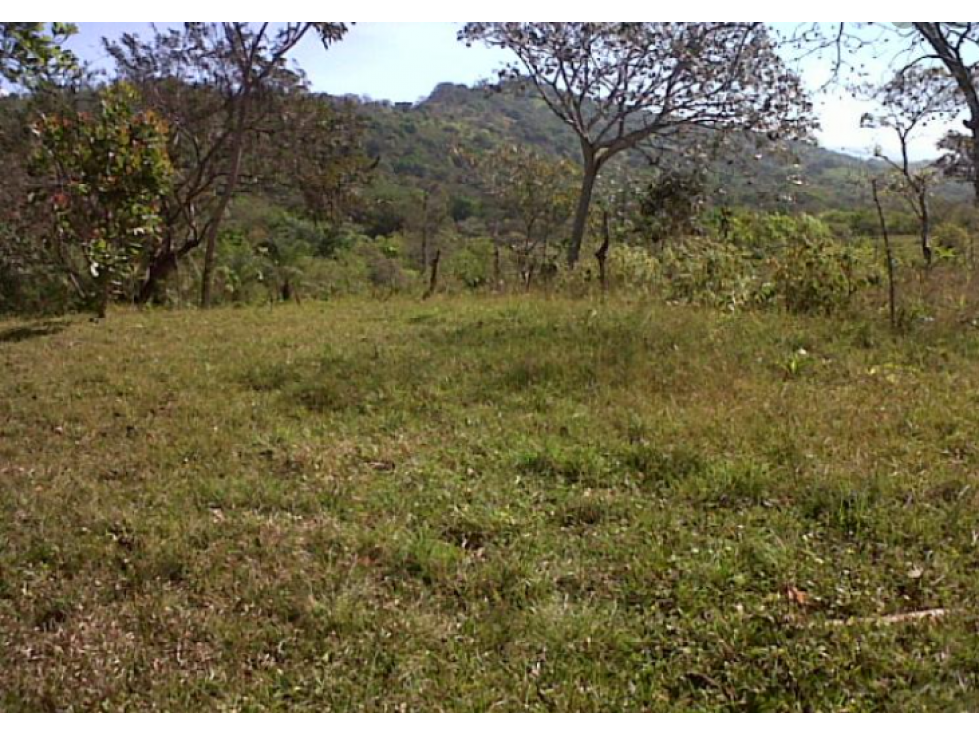 TERRENO DE 2.752M2 CON CASA EN CAÑAS GORDAS CHIRIQUI — foto 4