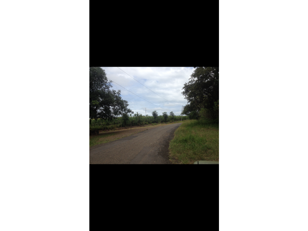 VENDO TERRENO DE 9.5 HECTARES EN GUARARE, LOS SANTOS - 2