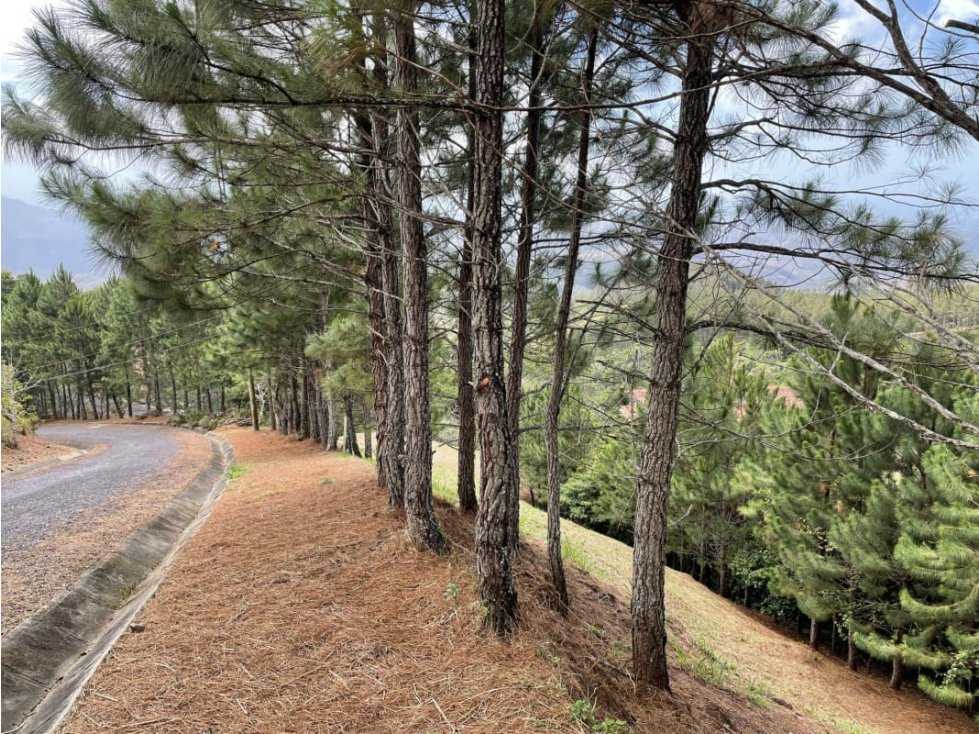 SE VENDE TERRENO EN ALTOS DEL MARIA POR BUENA VISTA 3828 M2 - 6