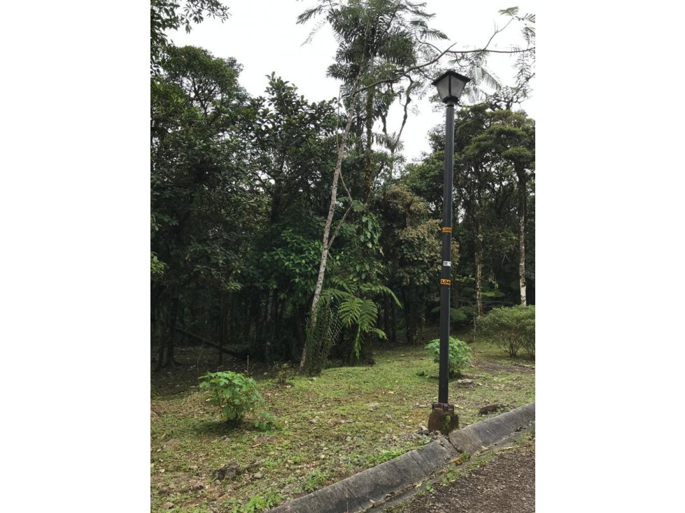 SE VENDE TERRENO EN ALTOS DEL MARIA EN BOSQUE NUBOSO 3068.16 m2 - 6