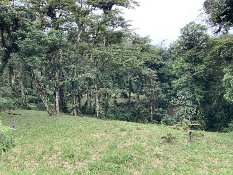 SE VENDE TERRENO EN ALTOS DEL MARIA UBICADO EN LA RIOCA 2237 m2 - 4