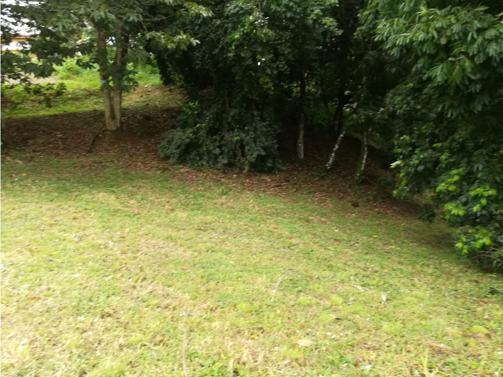 TERRENO DE 2817M2, EN PUNTO MAS ALTO DE LAS VISTAS DE CERRO AZUL - 3