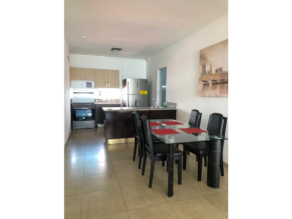 APARTAMENTO AMOBLADO EN PH H2O AV BALBOA