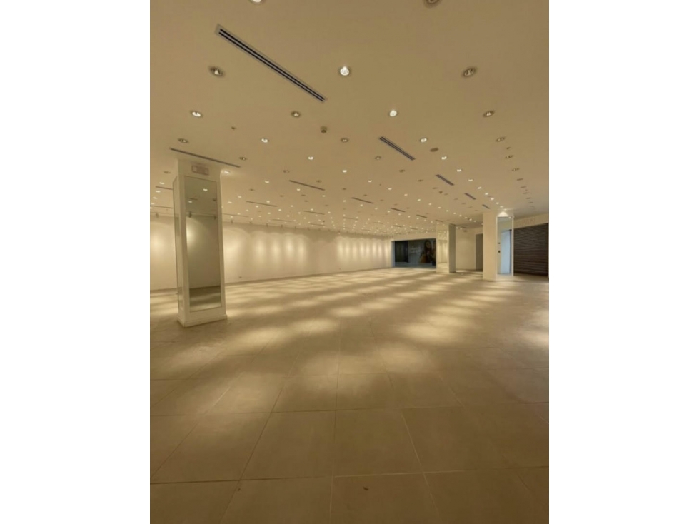 ALQUILER DE LOCAL 1695M2 NUEVO TOCUMEN — foto 4