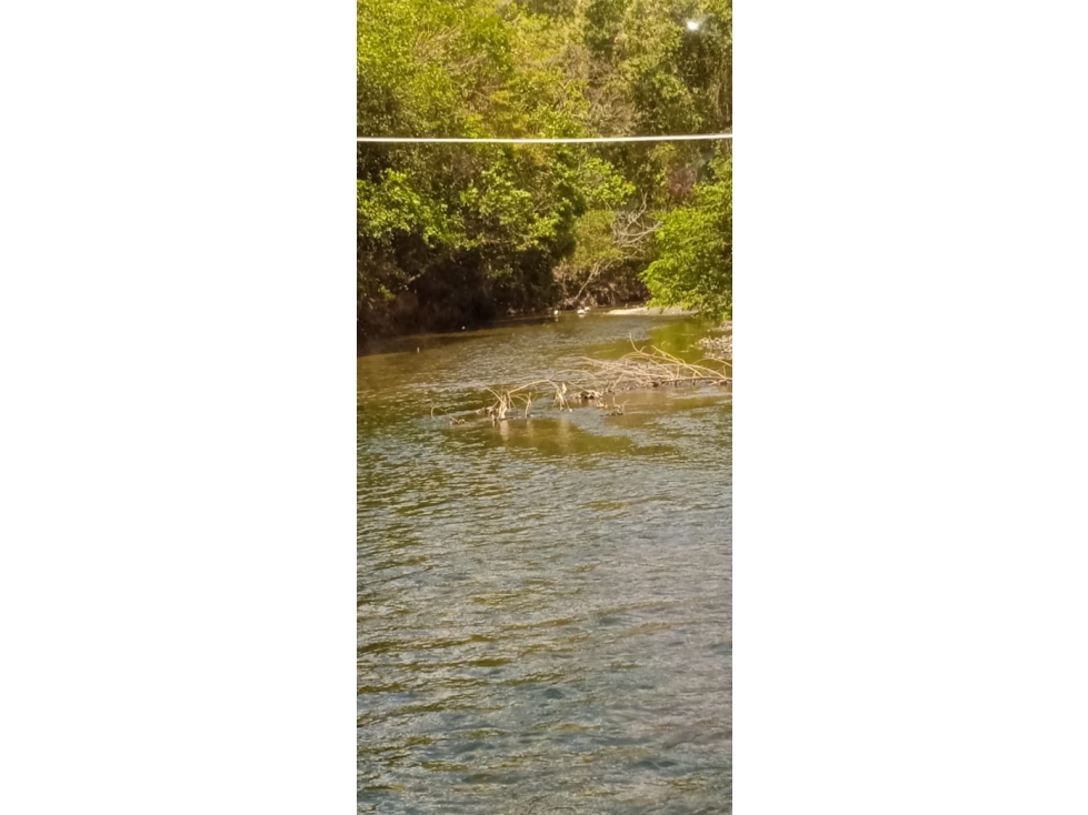 VENDO 1080 HECTAREAS EN TONOSÍ CON VISTA AL MAR - 1