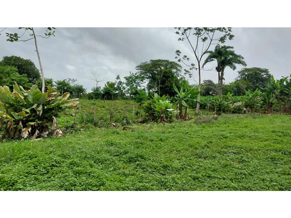 VENDO TERRENO 6220 M2 EN PRODUCCION BOQUERON - 4