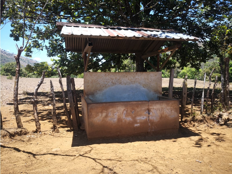VENDO 900 HECTAREAS EN EL SUR DE SONÁ DE VERAGUAS - 6