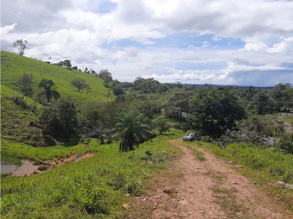 VENTA DE LOTE EN VERAGUAS - MARIATO - 4