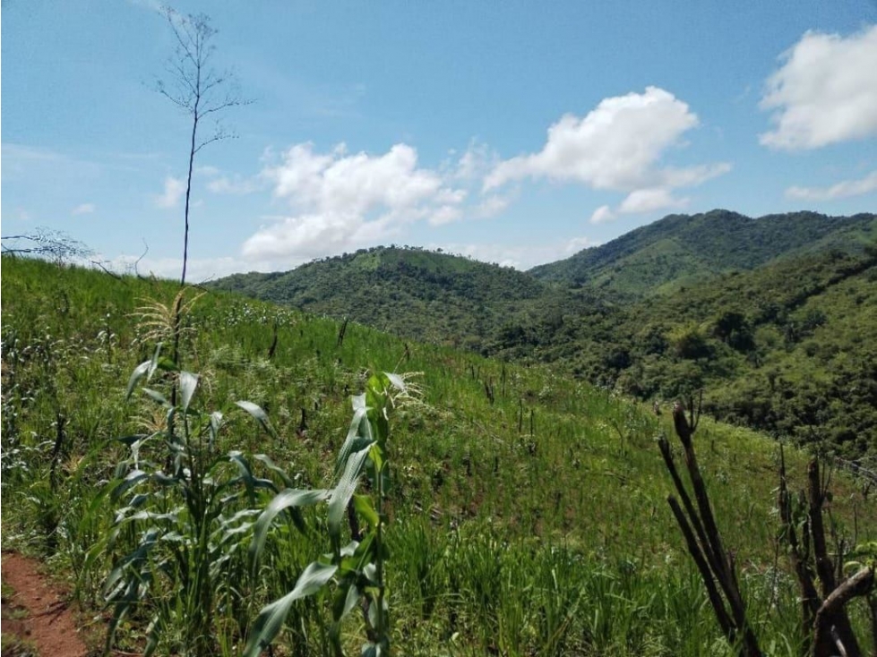 VENTA DE TERRENO EN VERAGUAS - SANTA FE 1 HECTARIA - 2