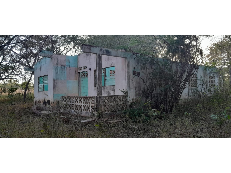 VENTA DE TERRENO EN HERRERA - 19 HEC - 6