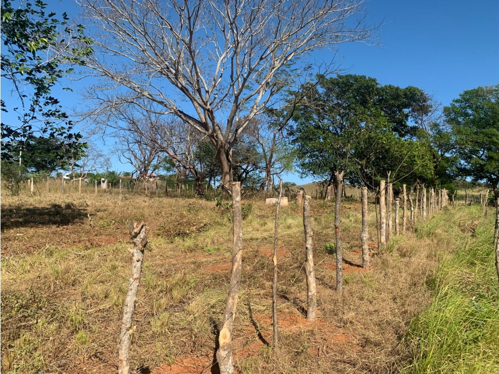VENTA DE LOTE EN LA ARENA DE CHITRE CON MAS DE 1,000 M2 - 2