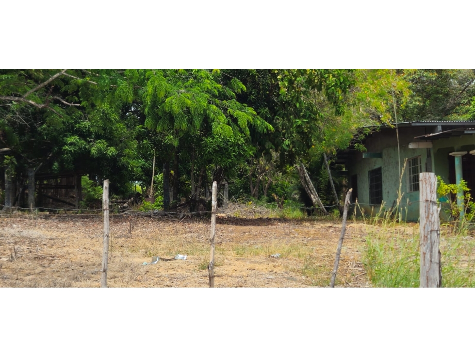 SAN FELIX CASA CON LOTE ORILLA DE PANAMERICANA - 4