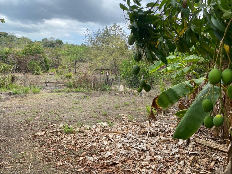 SE VENDE CASA EN LAS GUIAS CON 1,900 MTS - 6