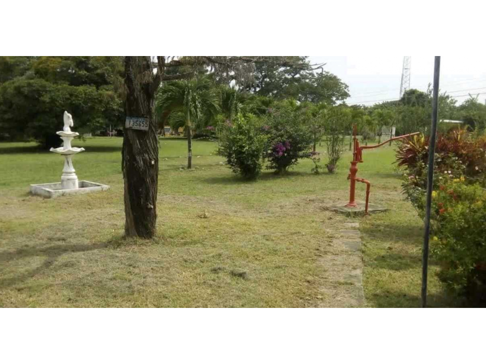 VENTA DE FINCA EN RÍO HATO, ANTÓN ÚNICA OPORTUNIDAD - 4