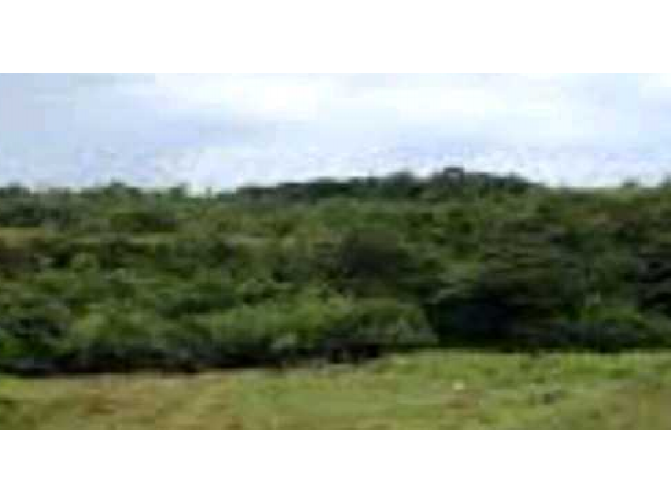 VENTA DE FINCA EN SANTA RITA, HERMOSA Y VISTAS INIGUALABLES, REMATE - 4